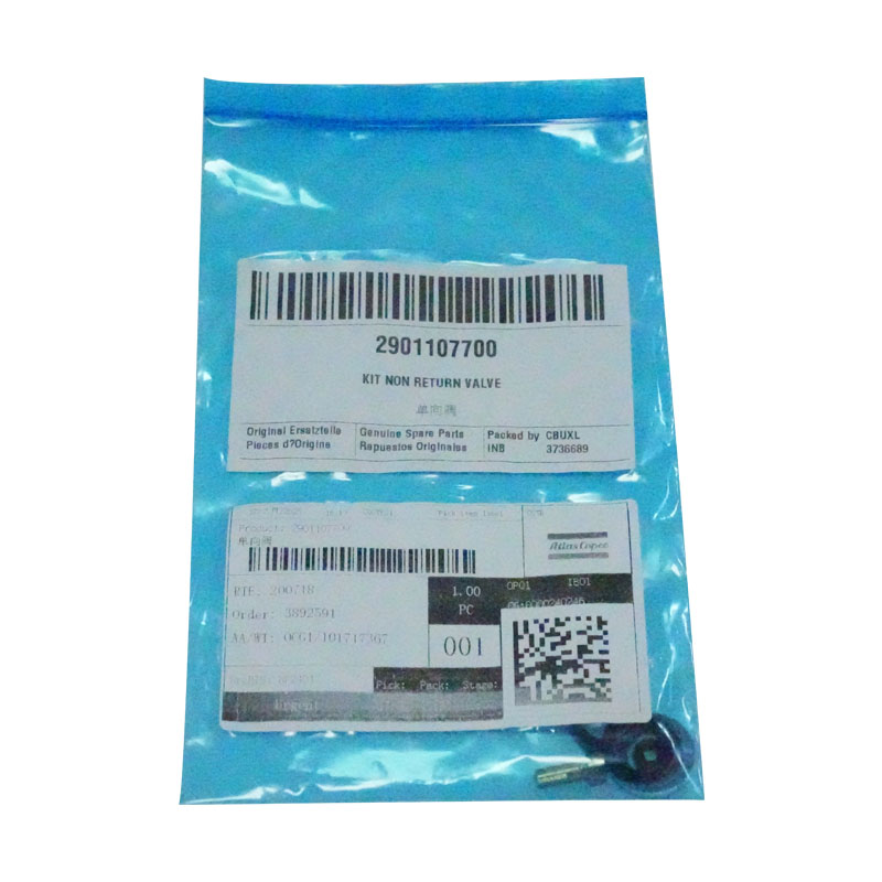 2901107700 KIT VALVE CHECK